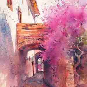 Julie Gilbert Pollard Mentorship MG-0203