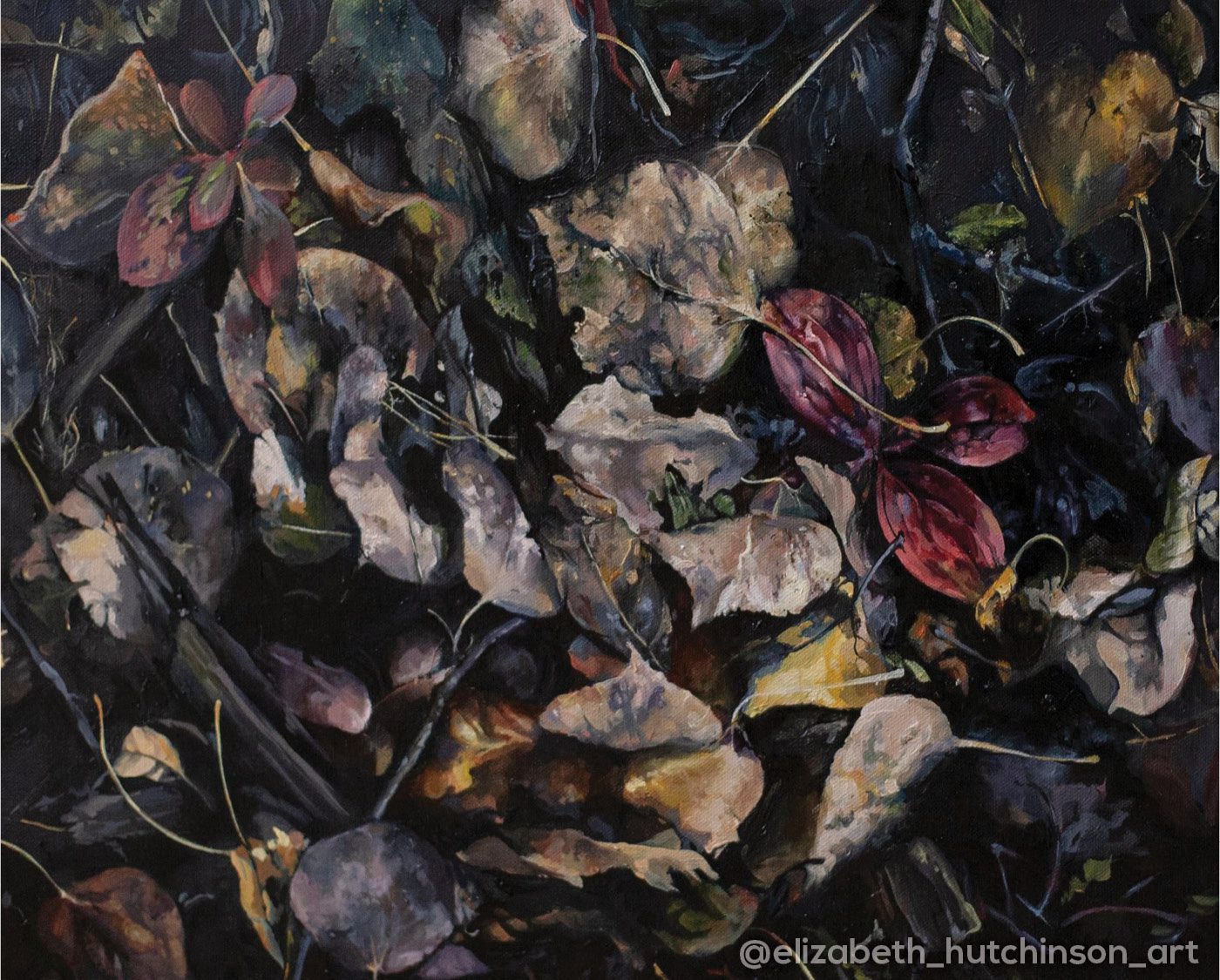 IG EH Member 1 Artwork by Elizabeth Hutchinson