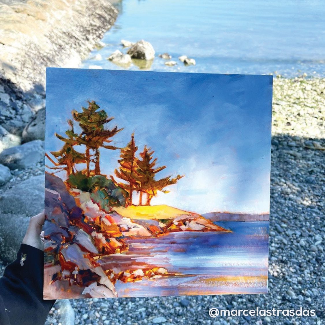 IG MS Nav 5 Artwork by Marcela Strasdas