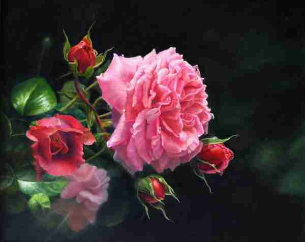 Susan Harrison-Tustain Artwork