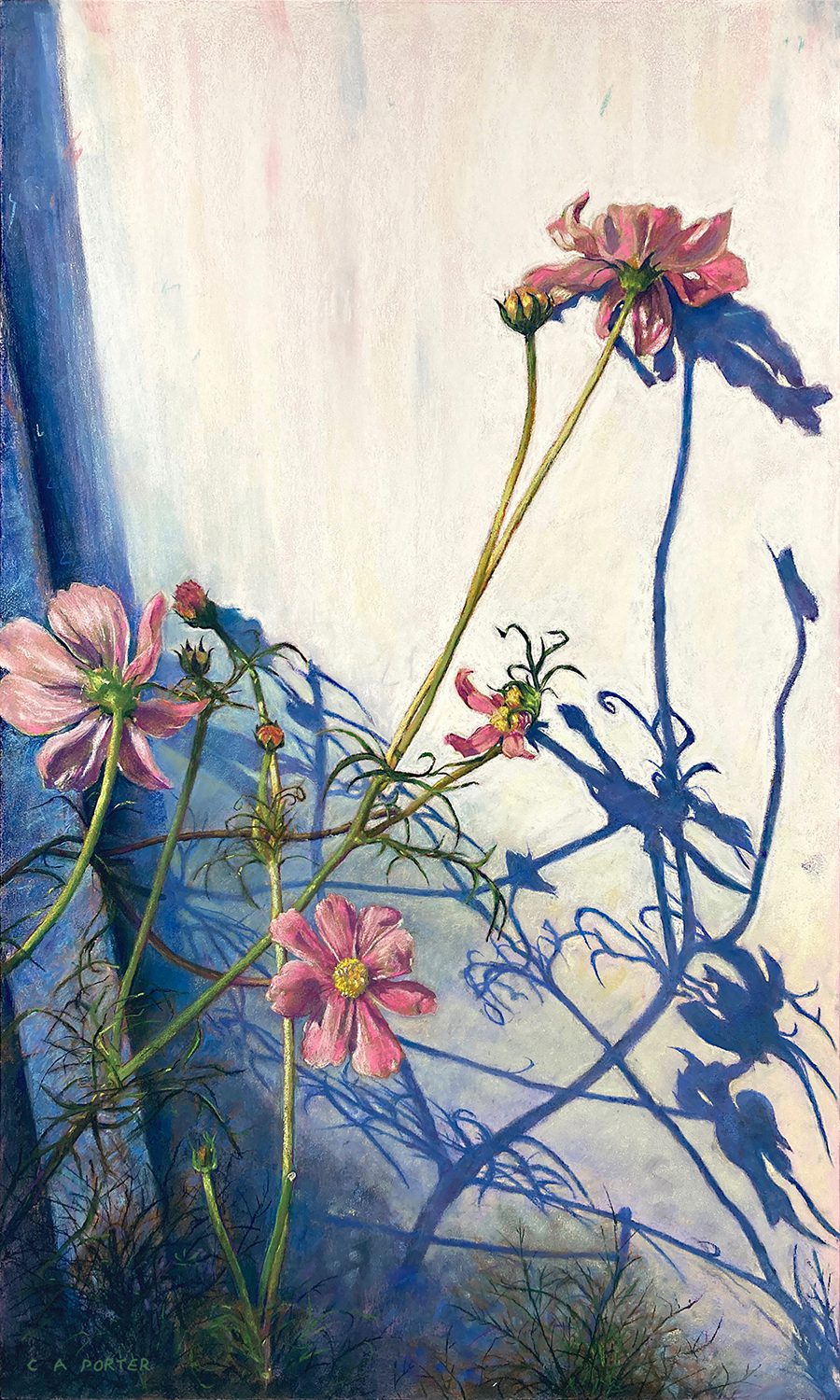 10_The Flower and the Shadow No3 Artwork by Clarence Porter