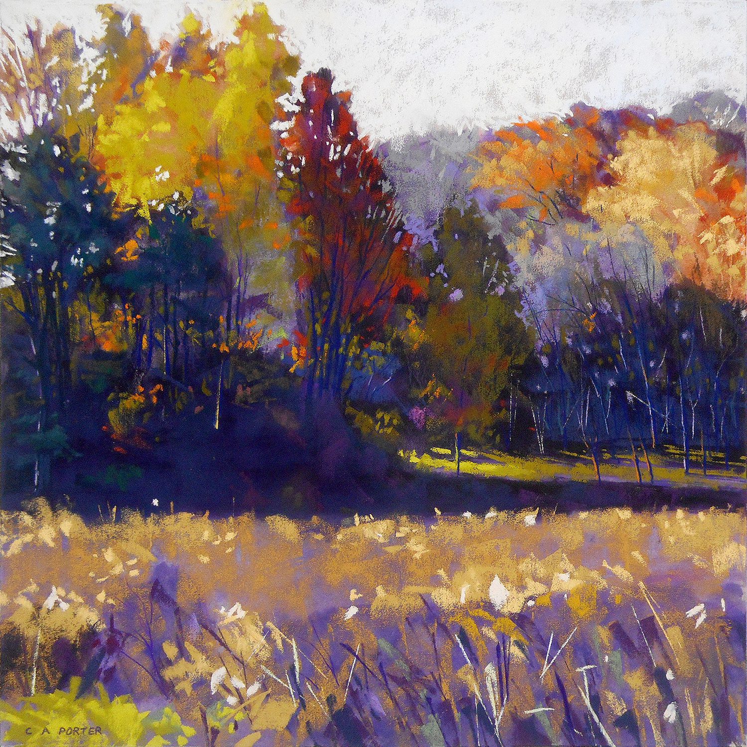 5_Walk in Cootes Paradise_VI Artwork by Clarence Porter