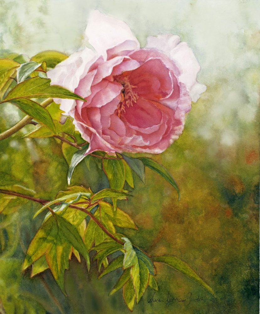 For You Watercolor by Susan Harrison Tustain Artwork by Susan Harrison-Tustain