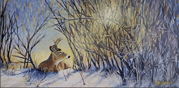 Deer Artwork by Deb Nicolaisen