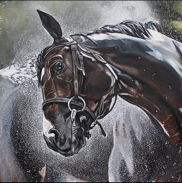 Horse Getting Washed Artwork b y Brooke O'Connell