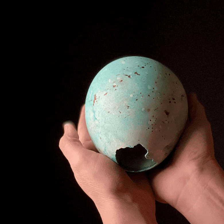 Egg Artwork by Melissa Mulder