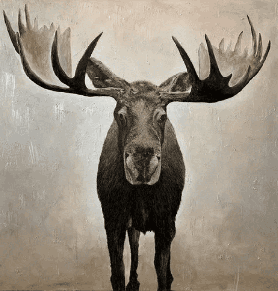 Moose Artwork by Michele Doucette