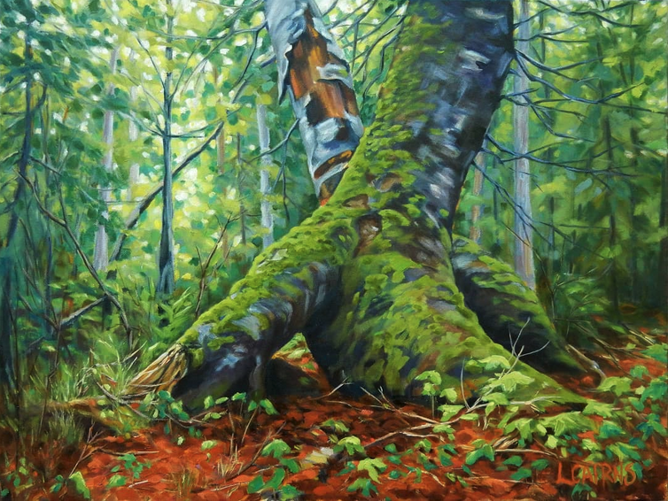 Forest Artwork by Laurie Cairns