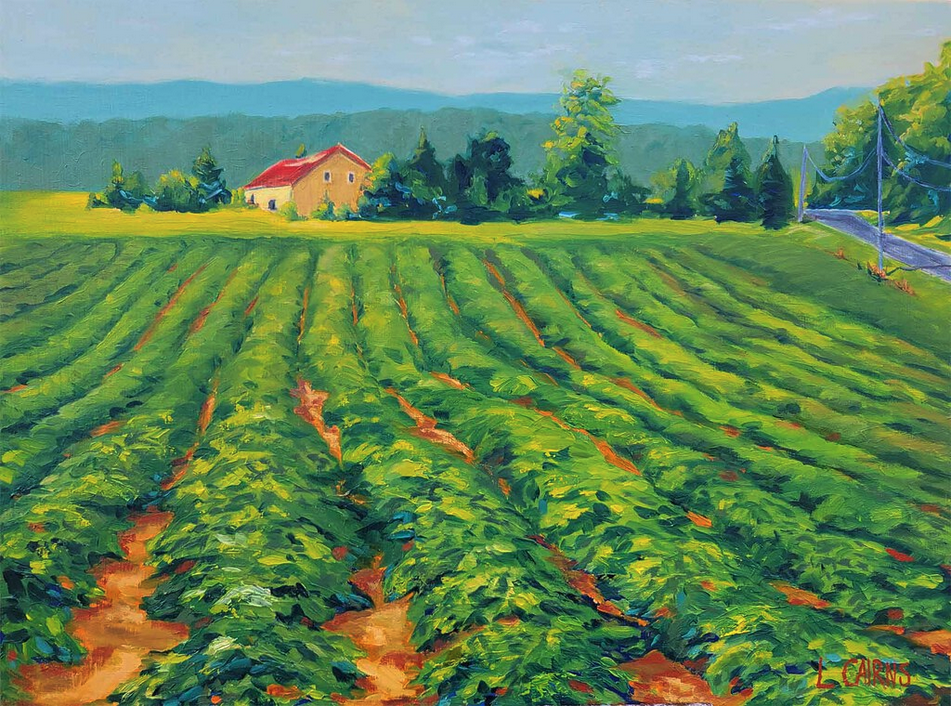 Field Artwork by Laurie Cairns