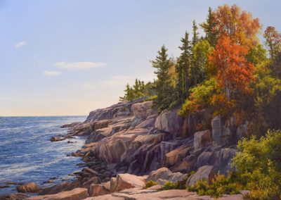 ANDREW ORR