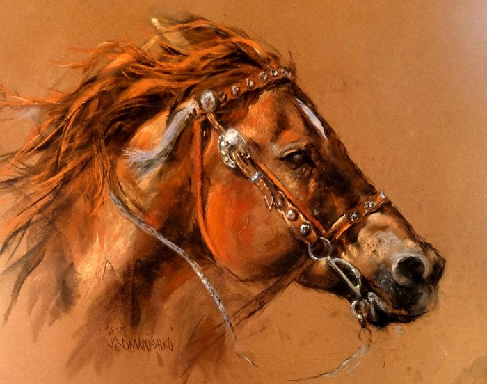Determination Artwork by Jane Romanishko