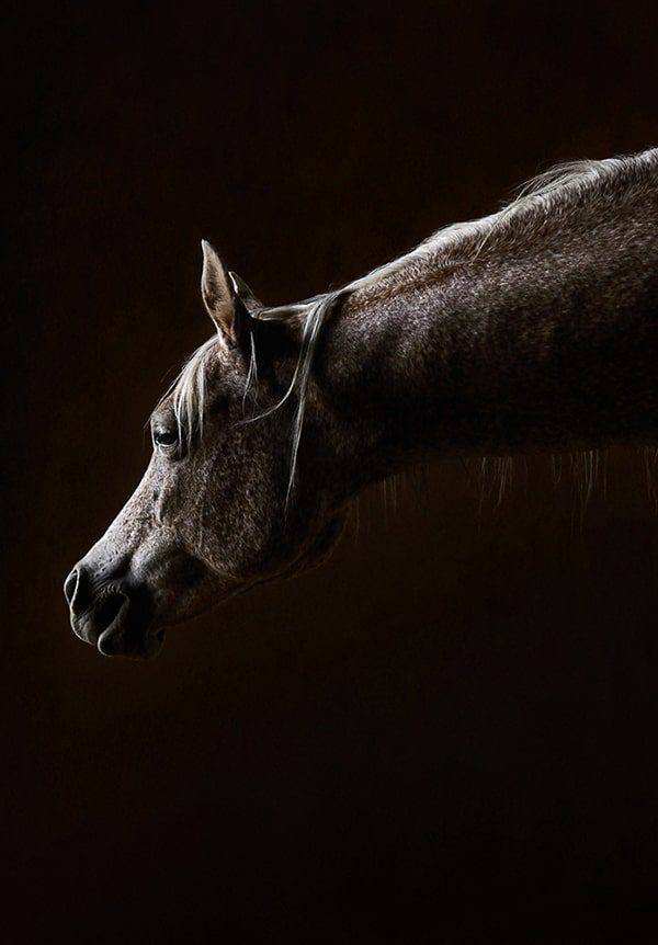Photography by Cathy Simone