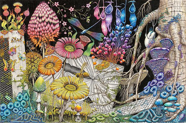 STEPHANIE KILGAST