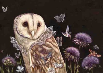 RACHEL FAVELLE