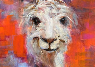 CONNIE GEERTS
