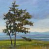 Flourish - Cindy Mawle - Spring Rains