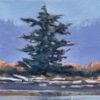 Flourish - Cindy Mawle - Seaside Evergreen