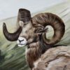 Flourish - Jocelyn Shields - Possible Ramifications
