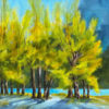 Flourish - Barb Johnson - Dancing in the Sunlight