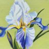 Flourish - Carolyn Sharpe - Morning Dance