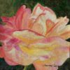 Flourish - Lorraine Schuld - Belle of the Garden