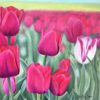Flourish - Shelley Fagin - The Standout