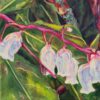 Flourish - Amy Lynne Pobanz - Japanese Andromeda (Pieris Japonica)
