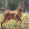 Flourish - Kristin Kueber - \"Baby Steps\"