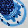 Flourish - Michelle Pereira - Bowl of Blueberries