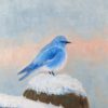 Flourish - Lisa Fairbank - Mountain Blues