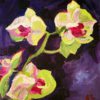 Flourish - Alina Lloyd - New Orchid