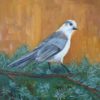 Flourish - Lisa Fairbank - Whiskey Jack