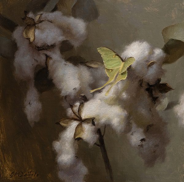 oil painting of cotton