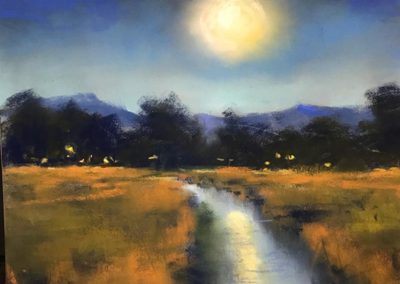 BONNIE ZAHN GRIFFITH