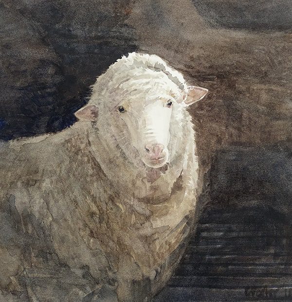 Watercolor painting of a sheep