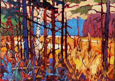 JOHN DAVID ANDERSON
