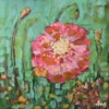 Flourish - Kim Ans - Wild Whispers
