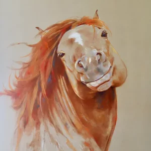 Karen Osborn Mentorship MG630