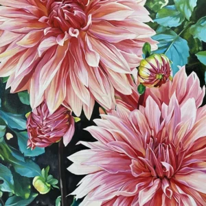 Janet anderson Mentorship MG746
