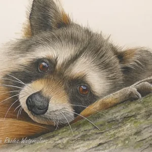 Rebecca Rhodes Mentorship MG758