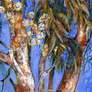 De Gillett Cox Mentorship MG929