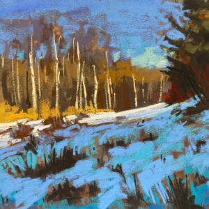 David Shkolny Mentorship MG975