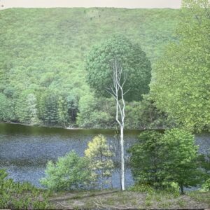 Eileen Murphy Mentorship MG985