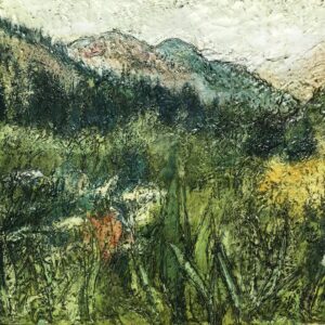 Marcie Wolf-Hubbard Mentorship MG977