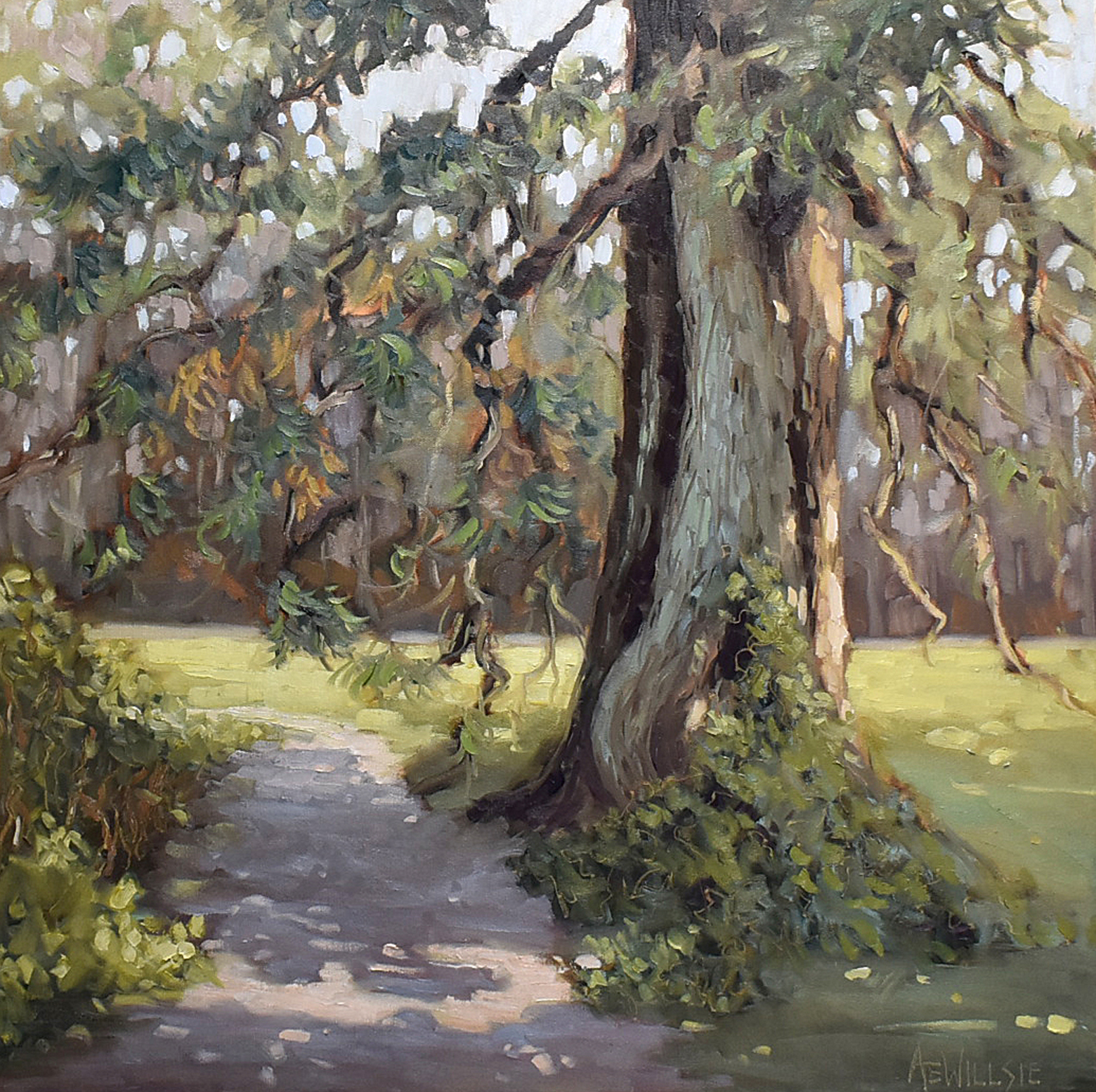 Ann Willsie Mentorship MG973