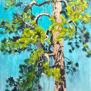 Leah Kohlenberg Mentorship MG1031
