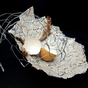 Dusti Gomery Mentorship MG1054