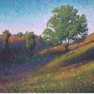 Stephen Henning Mentorship MG1065