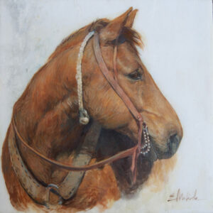 E. Melinda Morrison Mentorship MG1044